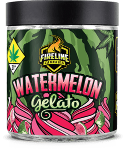 Watermelon Gelato Marijuana Weed Pot Flower Bud